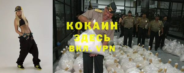 ГАЛЛЮЦИНОГЕННЫЕ ГРИБЫ Арсеньев