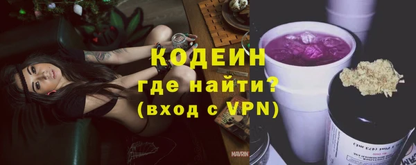 ГАЛЛЮЦИНОГЕННЫЕ ГРИБЫ Арсеньев