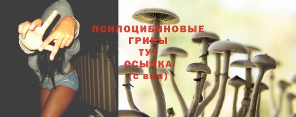 дмт Армянск