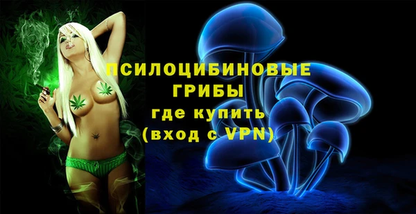 дмт Армянск